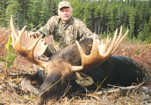 alberta moose hunting